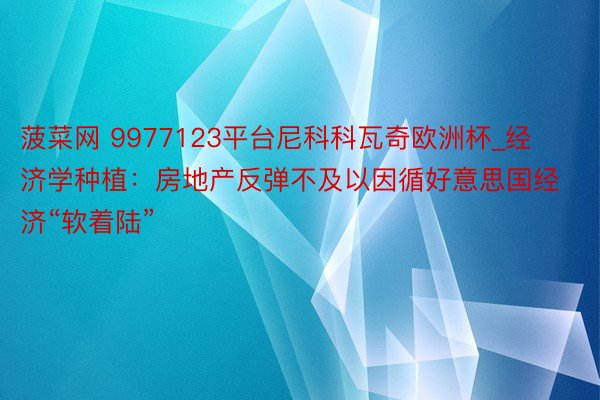 菠菜网 9977123平台尼科科瓦奇欧洲杯_经济学种植：房地产反弹不及以因循好意思国经济“软着陆”